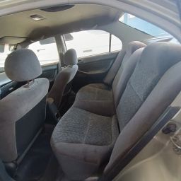 https://img.olx.com.br/thumbs256x256/29/292699295509568.jpg