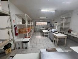 https://img.olx.com.br/thumbs256x256/29/293505511789027.jpg
