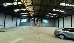 https://img.olx.com.br/thumbs256x256/29/293511161396277.jpg