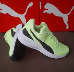 https://img.olx.com.br/thumbs256x256/29/293511405131268.jpg