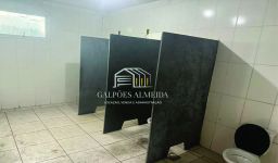 https://img.olx.com.br/thumbs256x256/29/293522526875269.jpg