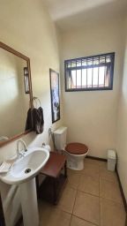 https://img.olx.com.br/thumbs256x256/29/293587525104955.jpg