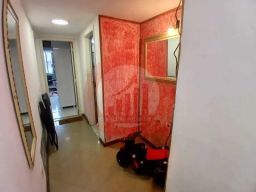 https://img.olx.com.br/thumbs256x256/29/294532640979218.jpg
