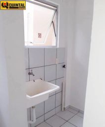 https://img.olx.com.br/thumbs256x256/29/294553648464134.jpg
