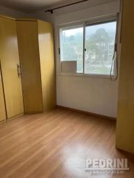https://img.olx.com.br/thumbs256x256/29/294554279220373.jpg