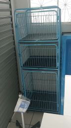 https://img.olx.com.br/thumbs256x256/29/294576162952512.jpg