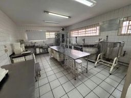 https://img.olx.com.br/thumbs256x256/29/294594870719521.jpg