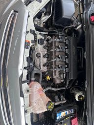 https://img.olx.com.br/thumbs256x256/29/294688209656626.jpg