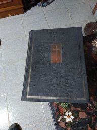 https://img.olx.com.br/thumbs256x256/29/295342651149361.jpg