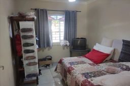 https://img.olx.com.br/thumbs256x256/29/295514409732441.jpg