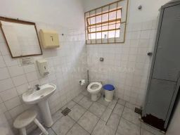 https://img.olx.com.br/thumbs256x256/29/295525272126378.jpg