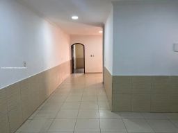 https://img.olx.com.br/thumbs256x256/29/295550131726351.jpg