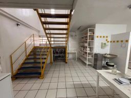 https://img.olx.com.br/thumbs256x256/29/295557513767703.jpg