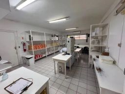 https://img.olx.com.br/thumbs256x256/29/295563276220159.jpg