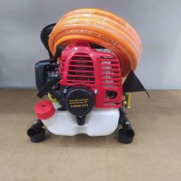 https://img.olx.com.br/thumbs256x256/29/295572258845456.jpg