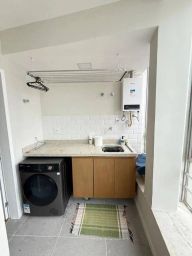 https://img.olx.com.br/thumbs256x256/29/295579765934314.jpg