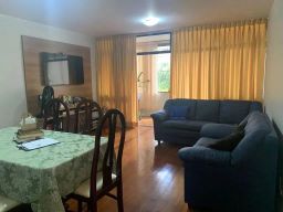 https://img.olx.com.br/thumbs256x256/29/295584281496317.jpg