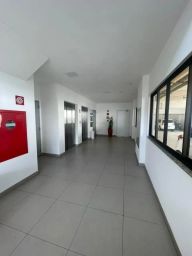 https://img.olx.com.br/thumbs256x256/29/295617431027171.jpg
