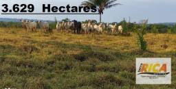 Título do anúncio: Fazenda à venda, com 3.629 hectares na Zona Rural - Apuí/AM