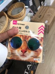 Título do anúncio: Óculos para pets estilosos