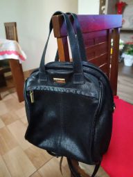 https://img.olx.com.br/thumbs256x256/29/296501169105064.jpg