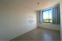 https://img.olx.com.br/thumbs256x256/29/296502880342793.jpg