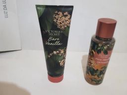 https://img.olx.com.br/thumbs256x256/29/296506393105034.jpg