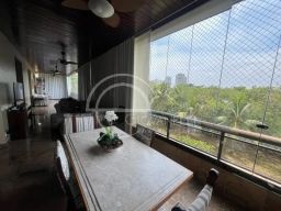 https://img.olx.com.br/thumbs256x256/29/296508744866127.jpg
