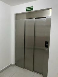 https://img.olx.com.br/thumbs256x256/29/296537280339965.jpg