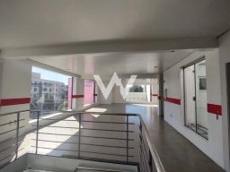 https://img.olx.com.br/thumbs256x256/29/296550285955151.jpg