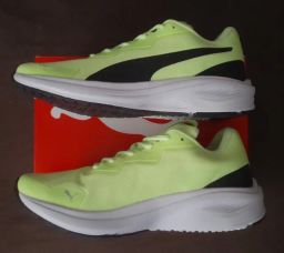 https://img.olx.com.br/thumbs256x256/29/296554643707258.jpg