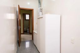 https://img.olx.com.br/thumbs256x256/29/296560767550911.jpg