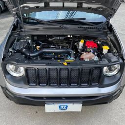 https://img.olx.com.br/thumbs256x256/29/296599169325764.jpg