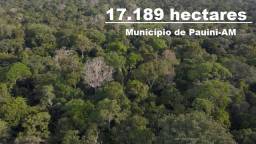 Título do anúncio: Fazenda com 17.189 hectares à venda no Pauini/Amazonas
