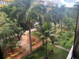 https://img.olx.com.br/thumbs256x256/29/297533521078291.jpg