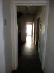 https://img.olx.com.br/thumbs256x256/29/297542407189496.jpg
