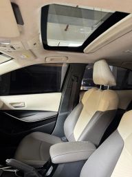 https://img.olx.com.br/thumbs256x256/29/297596287913542.jpg