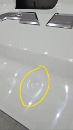 https://img.olx.com.br/thumbs256x256/29/297600163604065.jpg