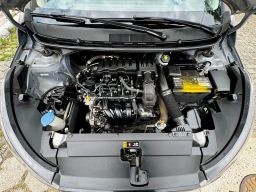 https://img.olx.com.br/thumbs256x256/29/297687445874993.jpg