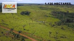 Título do anúncio: Excelente fazenda à venda com 1120 hectares na Zona Rural de Apuí/AM