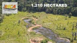 Título do anúncio: Vende-se uma fazenda com 1.210 hectares no distrito de 180, município de Manicoré/AM