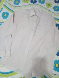https://img.olx.com.br/thumbs256x256/29/298465570608853.jpg