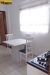 https://img.olx.com.br/thumbs256x256/29/298504281026225.jpg