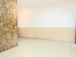 https://img.olx.com.br/thumbs256x256/29/298521374334490.jpg