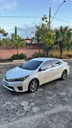 https://img.olx.com.br/thumbs256x256/29/298534048523048.jpg