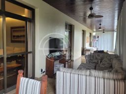 https://img.olx.com.br/thumbs256x256/29/298537260559495.jpg