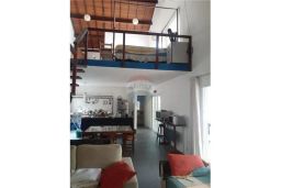 https://img.olx.com.br/thumbs256x256/29/298566506585265.jpg