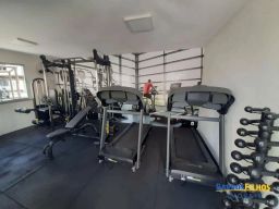 https://img.olx.com.br/thumbs256x256/29/298567039055726.jpg