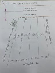 https://img.olx.com.br/thumbs256x256/29/298598488851161.jpg