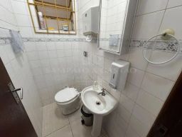 https://img.olx.com.br/thumbs256x256/29/299502159955679.jpg